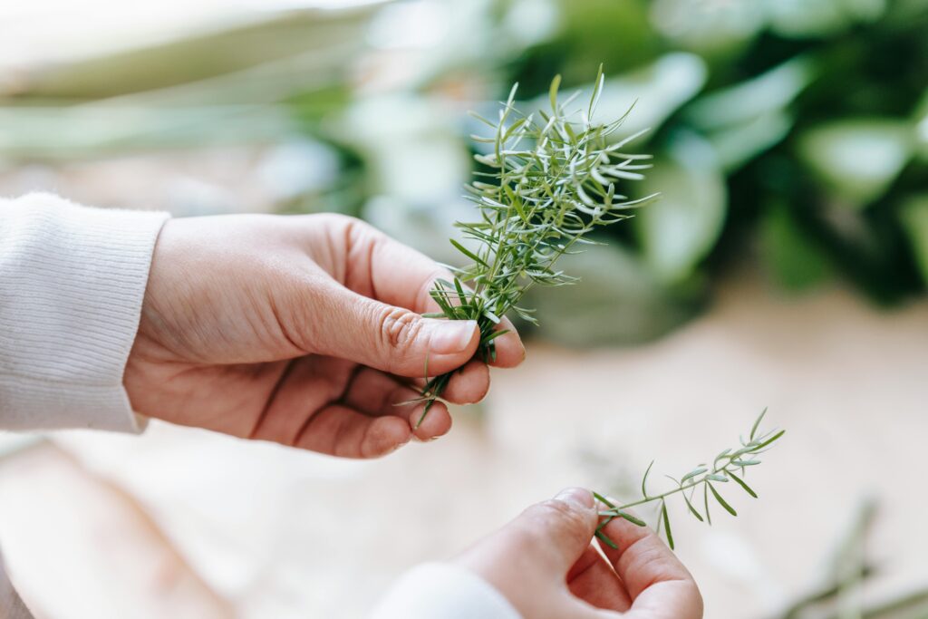 Rosemary Oil for Haircare: Is It the Next Big Trend?