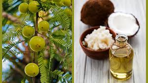 amla and coconut oil